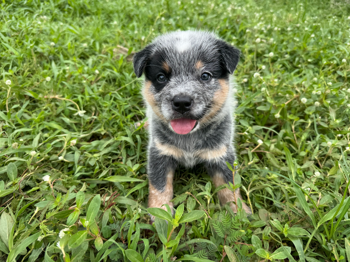 Current images from May 31, 2025