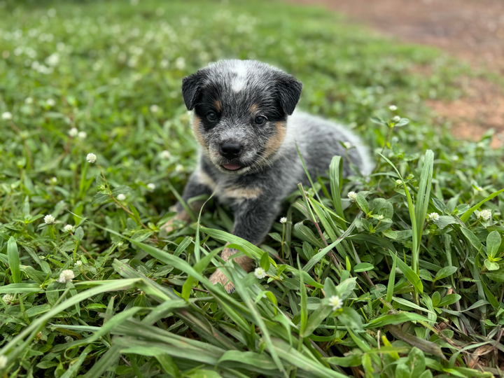 Current images from May 31, 2025